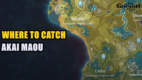 How to Find and Catch an Akai Maou .